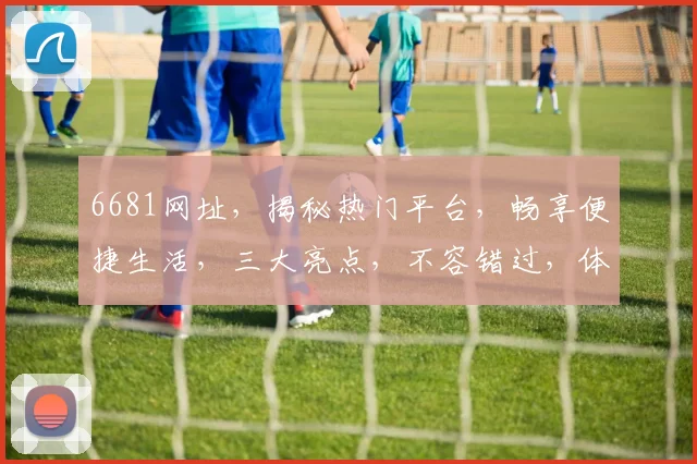 6681网址，揭秘热门平台，畅享便捷生活，三大亮点，不容错过，体验非凡