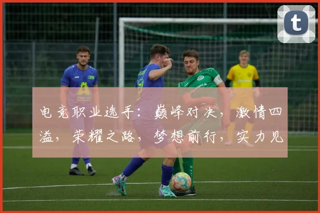 电竞职业选手：巅峰对决，激情四溢，荣耀之路，梦想前行，实力见证。